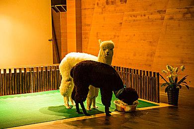 《星球大战绝地：幸存者》DLSS 3 MOD 性能实现翻倍